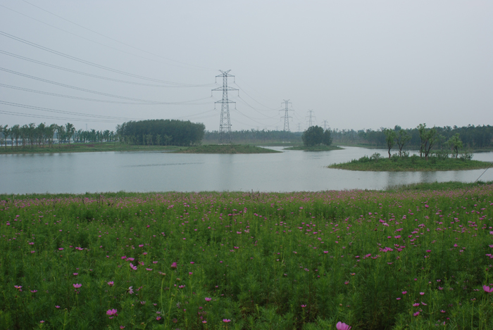 ɽ�|�H���а��˺ӭh����������